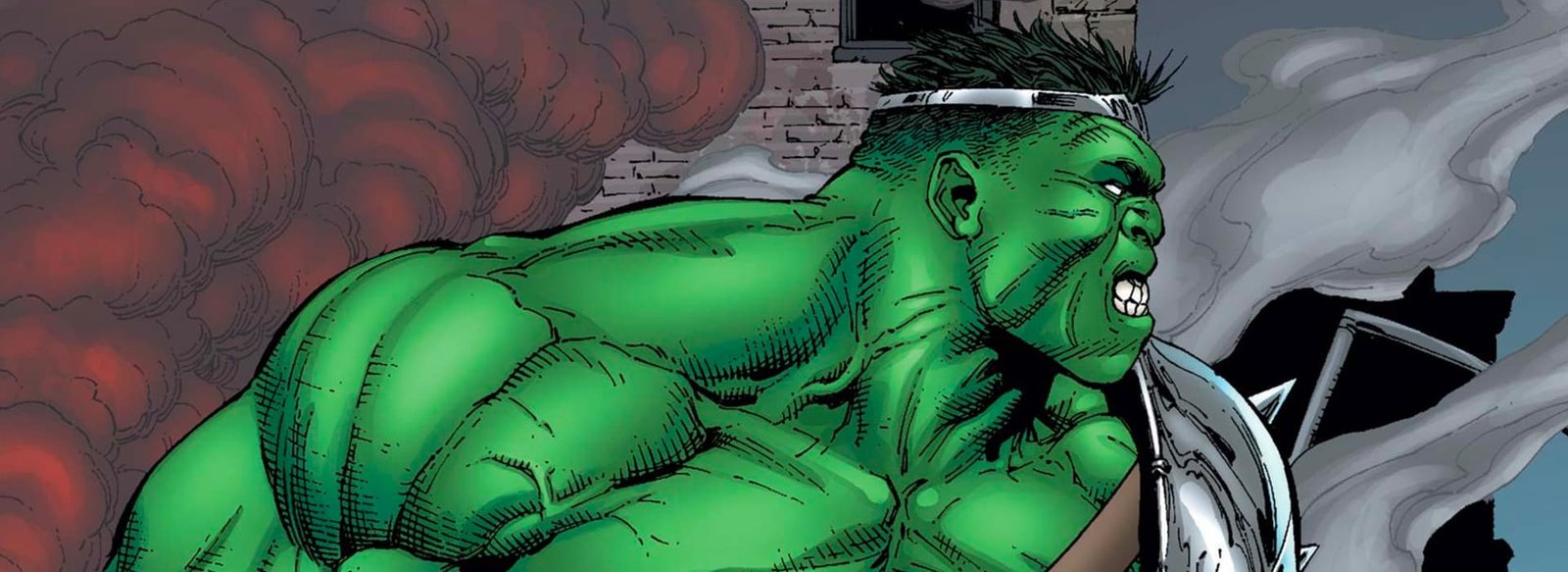 Bruce Banner (Hulk)